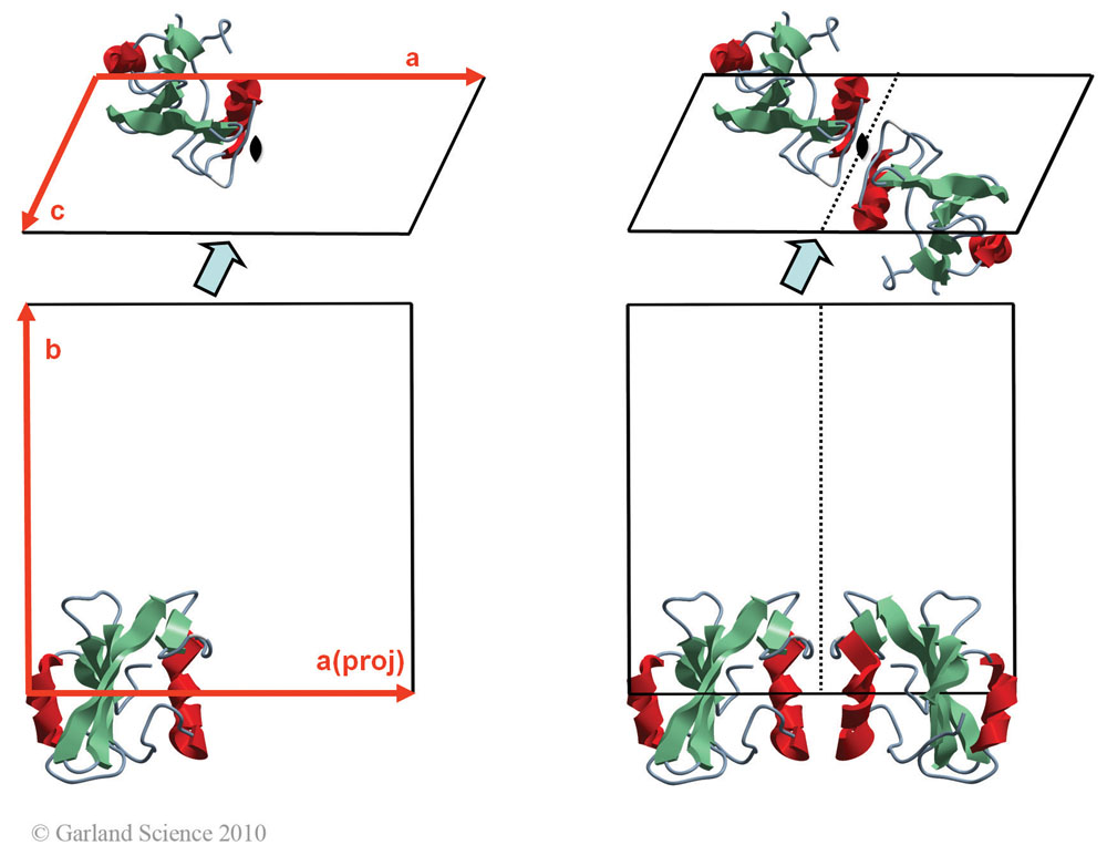 Biomolecular_Crystallography_Fig_5-41