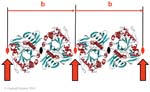 Biomolecular_Crystallography_Fig_5-09