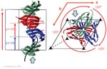 Biomolecular_Crystallography_Fig_5-33