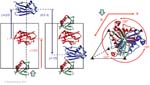Biomolecular_Crystallography_Fig_5-34