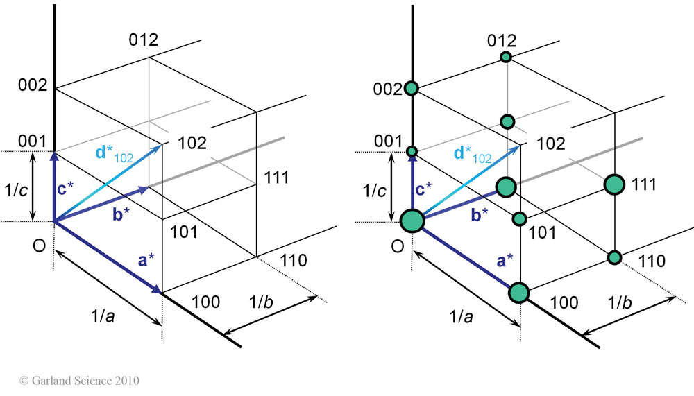 Biomolecular_Crystallography_Fig_6-25