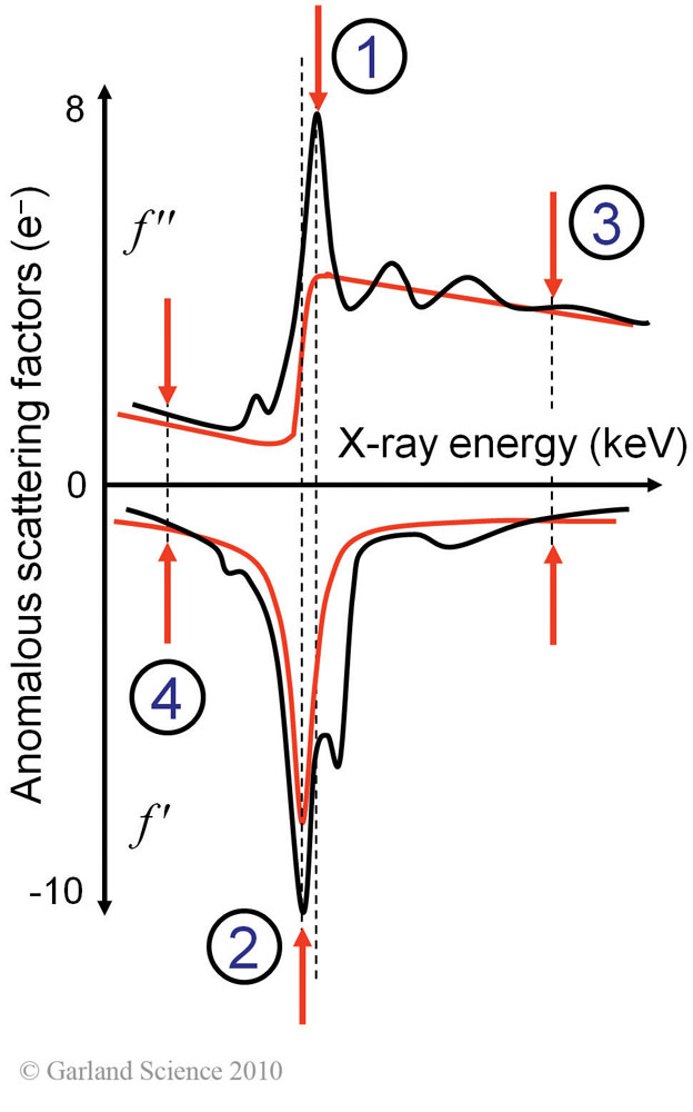 Biomolecular_Crystallography_Fig_6-33