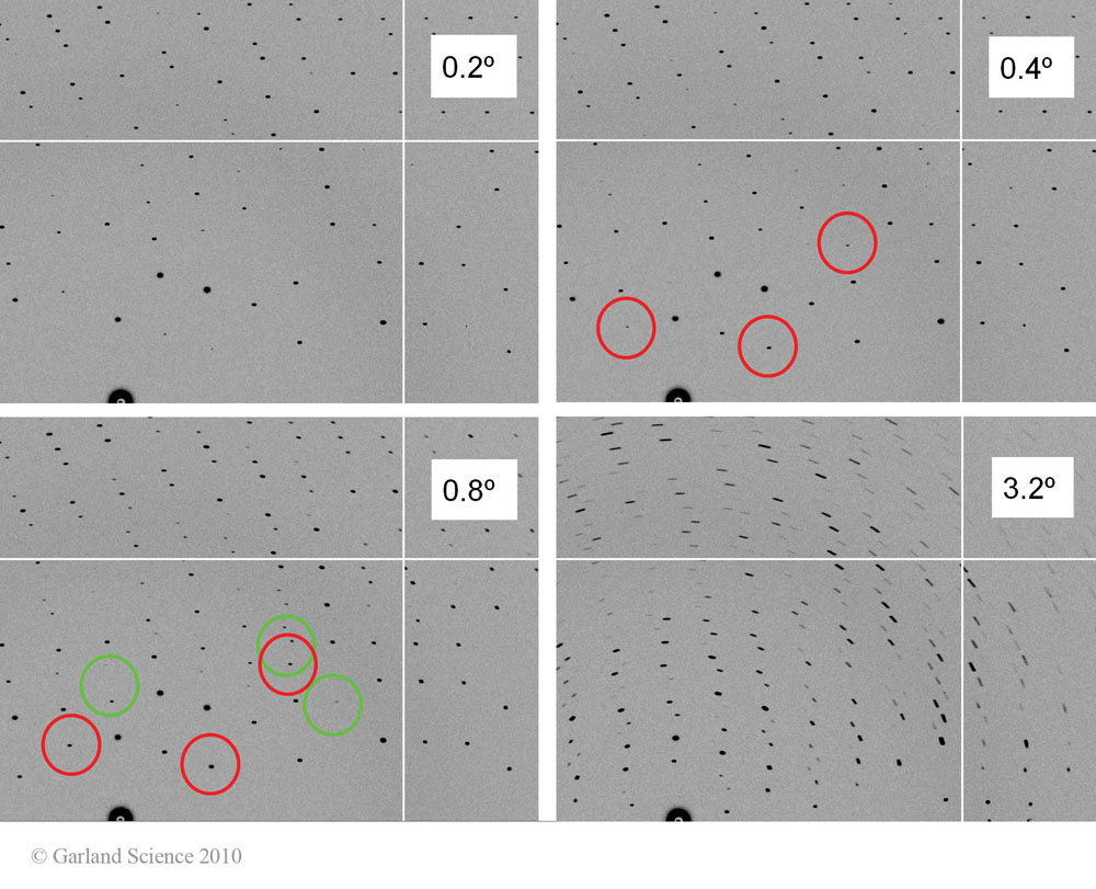 Biomolecular_Crystallography_Fig_8-28_PART2