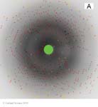 Biomolecular_Crystallography_Fig_8-34_A