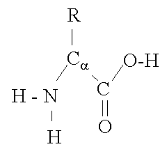 a-amino-acid.gif (999 bytes)
